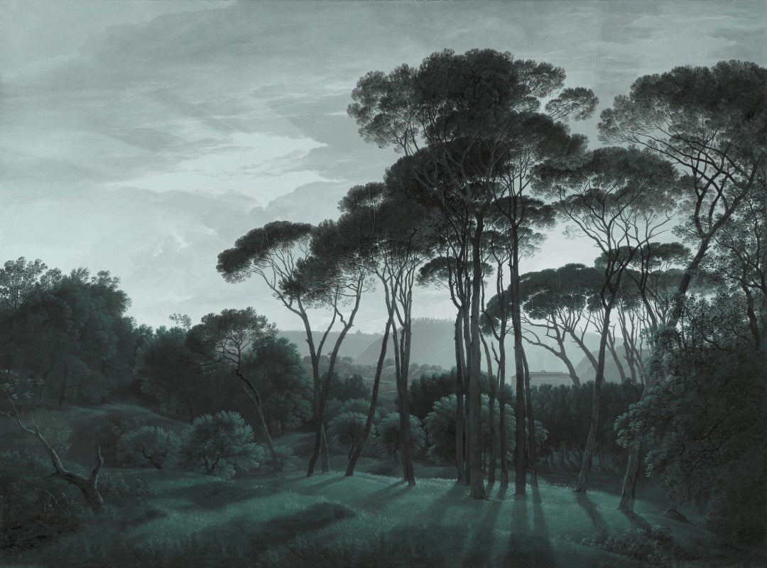 Standart Monokrom Posteri - MR (87)