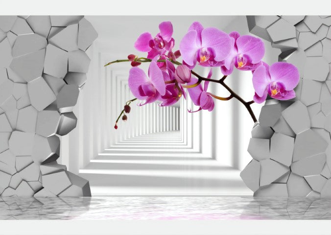 Standart Geometri Posteri - GO (174)