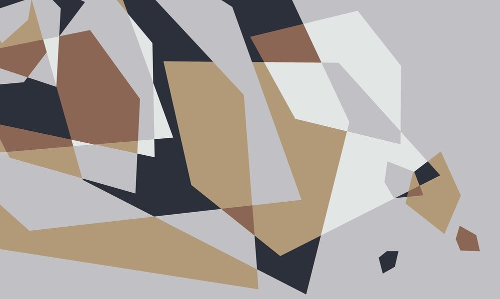 Standart Geometri Posteri - GO (208)
