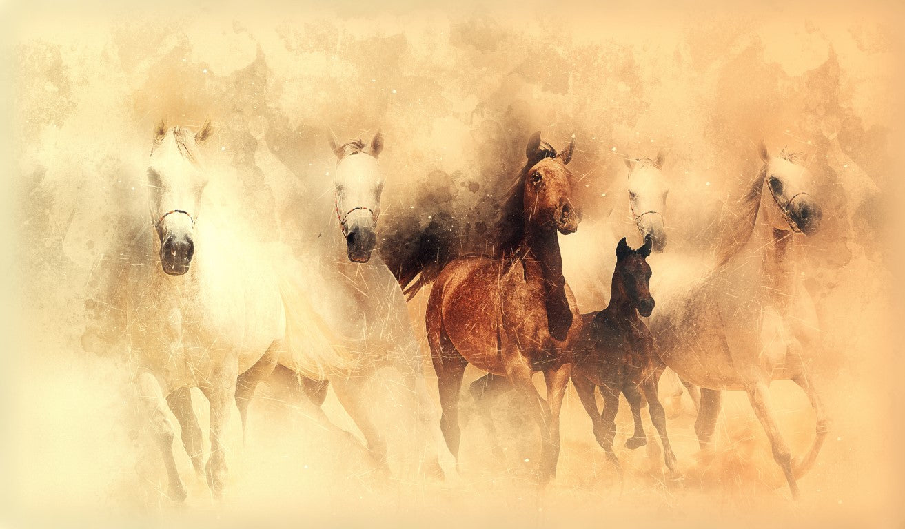 Standart Hayvan Posteri - HY (185)