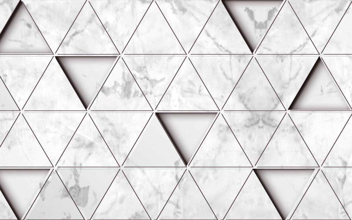 Standart Geometri Posteri - GO (221)