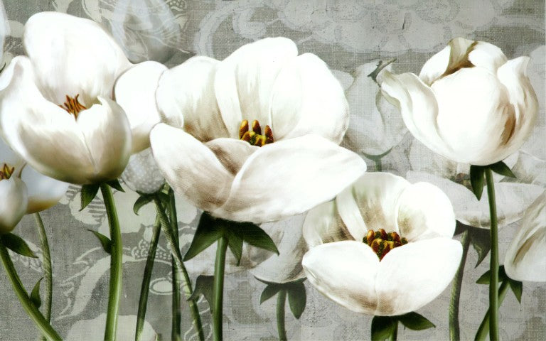 Standart Çiçek Posteri - CK (86)