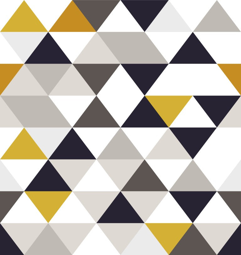 Standart Geometri Posteri - GO (246)