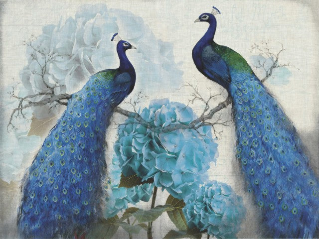 Standart Hayvan Posteri - HY (5)