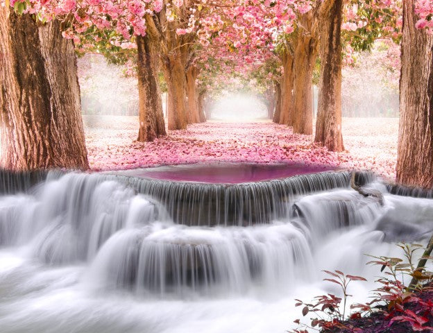 Standart Doğa Posteri - DG (53)