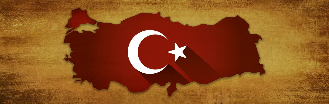Standart Tarih Posteri - TH (101)