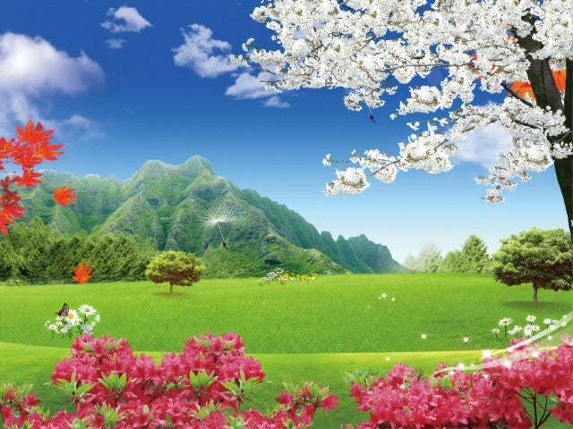 Standart Doğa Posteri - DG (3)