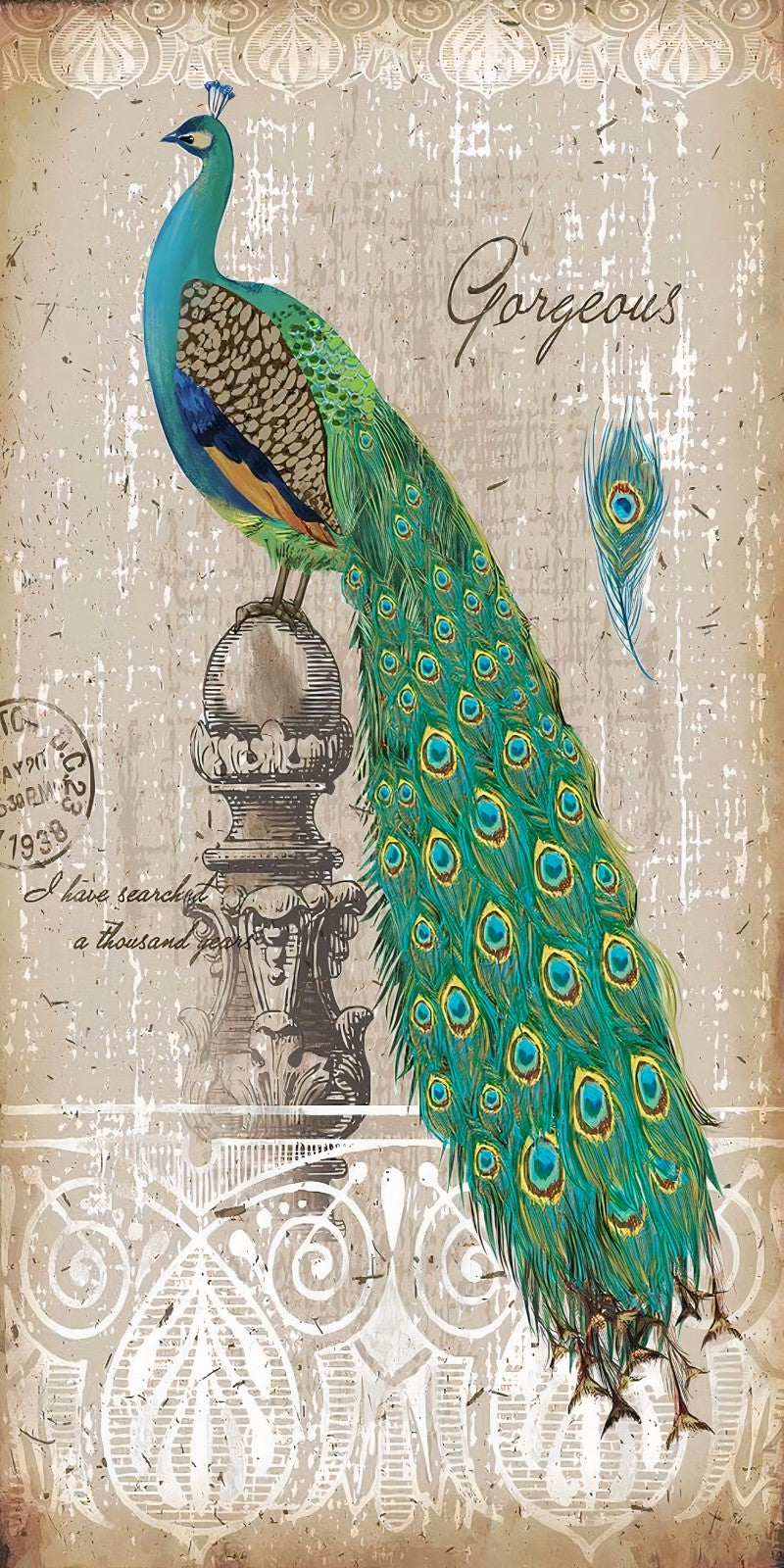 Standart Hayvan Posteri - HY (203)