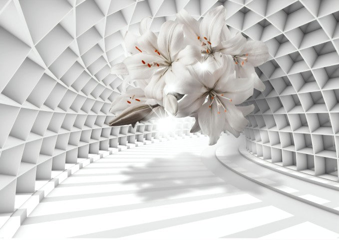 Standart Geometri Posteri - GO (29)