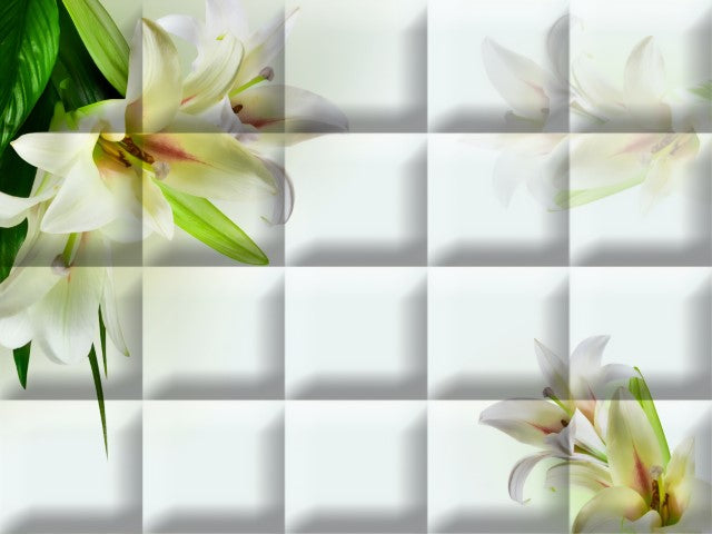 Standart Geometri Posteri - GO (160)
