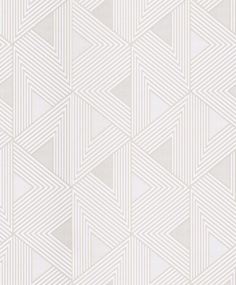 Standart Geometri Posteri - GO (210)