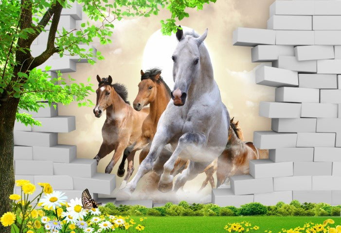 Standart Hayvan Posteri - HY (75)