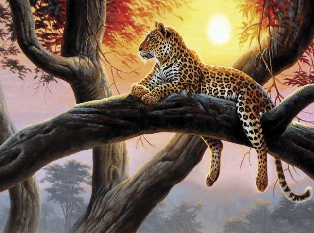 Standart Hayvan Posteri - HY (9)
