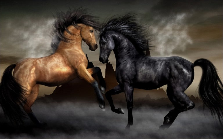 Standart Hayvan Posteri - HY (12)