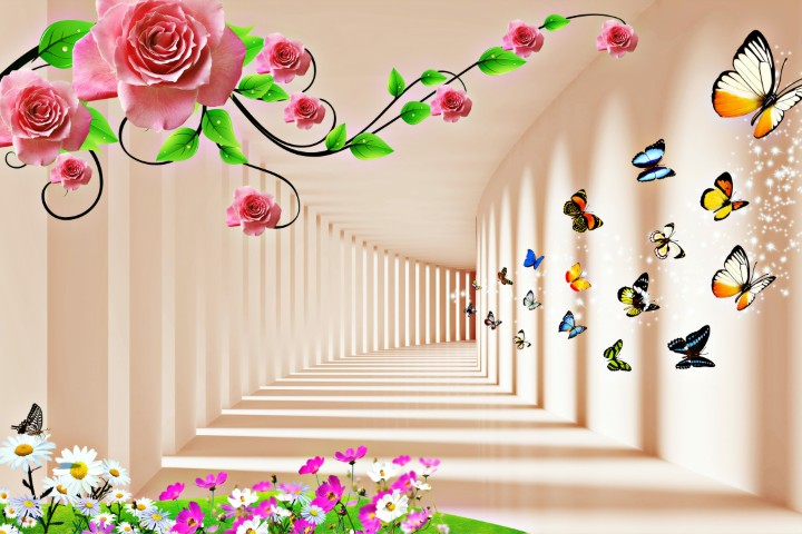 Standart Geometri Posteri - GO (80)