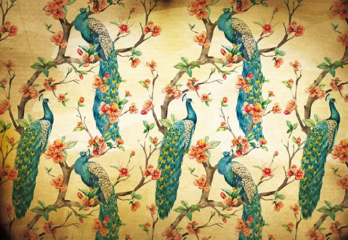 Standart Hayvan Posteri - HY (50)